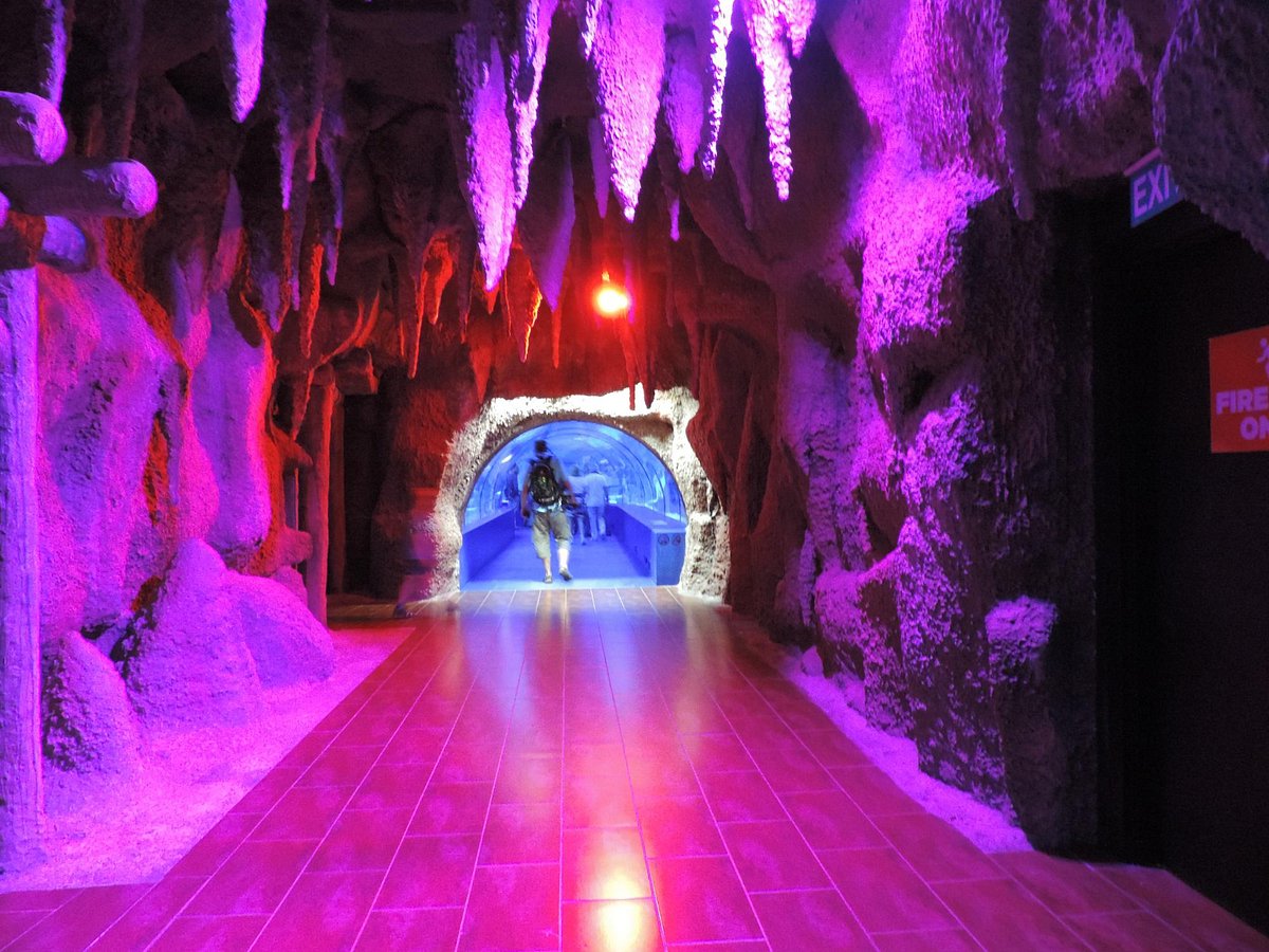 fb4e36548c21ff03a1d5fff0eb81eb7a92659ba0974158c260b733d24c50704c