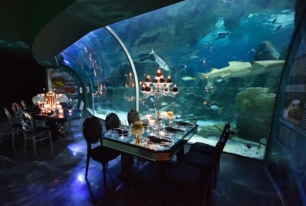 The Aquariums and Water Parks in Istanbul the Memorable Moments
